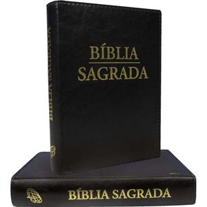 BÍBLIA NOVA TRADUÇÃO GRANDE