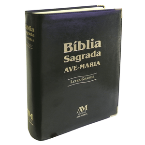 BÍBLIA DE LETRA GRANDE PRT