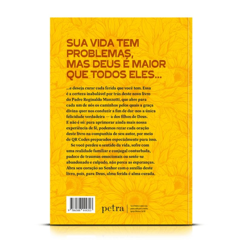 Kit-Livro-Alma-Ferida-Alma-Curada-e-Terco-Jesus-das-Santas-Chagas-10mm--2-