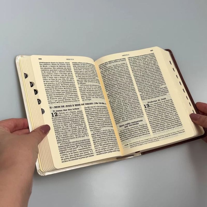 Biblia-Sagrada-Ave-Maria-Capa-Eucaristia--7-